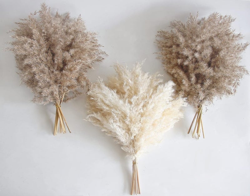 Kocat 30 PCS Boho Decor, Fluffy Pompas Grass, Natural Dry Pampas Grass Small, Short Pampass Bulk for Boho Room Decor, Coffee Table Decor (17 inch ) - Image 1