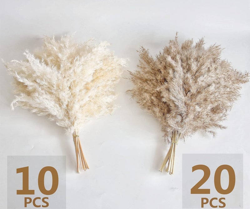Kocat 30 PCS Boho Decor, Fluffy Pompas Grass, Natural Dry Pampas Grass Small, Short Pampass Bulk for Boho Room Decor, Coffee Table Decor (17 inch ) - Image 2