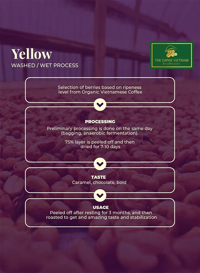 The Caphe Vietnam Robusta Coffee – Yellow Process (Single Origin, Whole Beans) 1KG | Medium Roast, Bold & Full-Bodied, Freshly Roasted in Dubai - Image 4