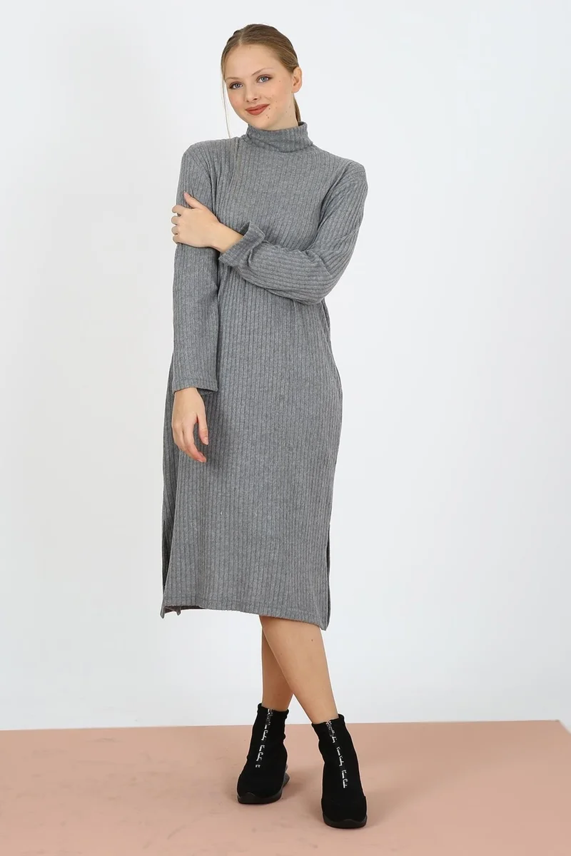 Alexander Gardi Ribbed Turtleneck Dress