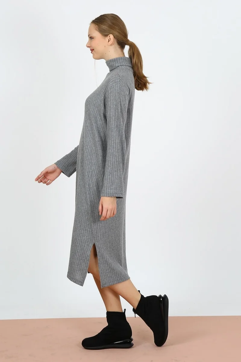 Alexander Gardi Ribbed Turtleneck Dress