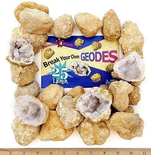 DANCING BEAR 25 Break Your Own Geodes 90 Hollow Large 17525 Crack Open  Discover Amazing Surprise Crystals Inside Educational Info and Instructions Included Fun Party Favors  Prizes - Image 1