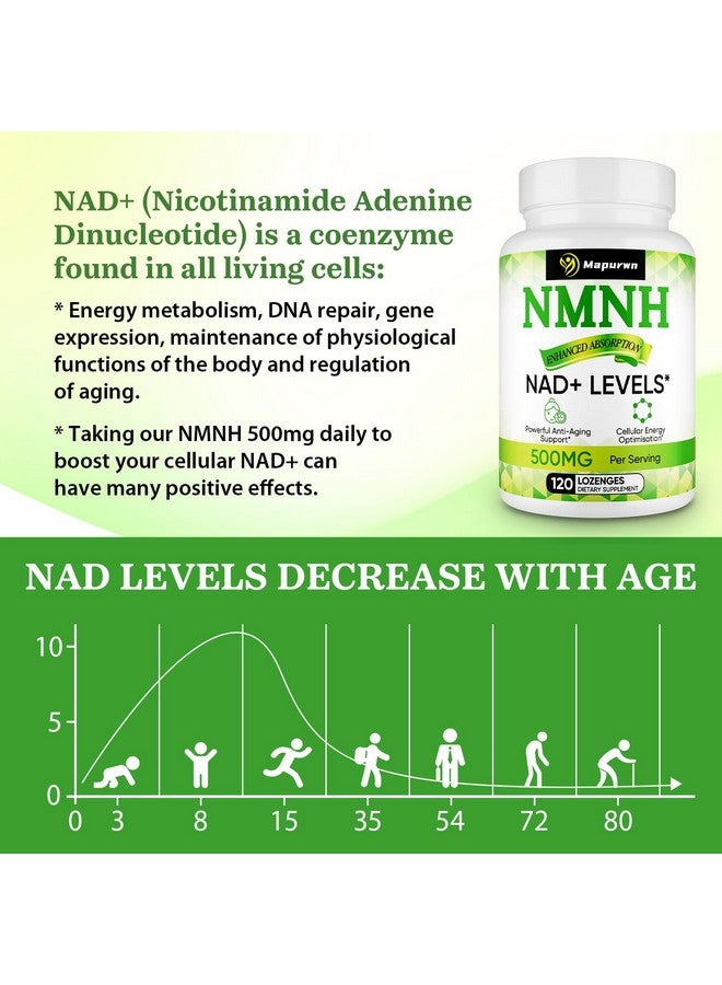 Mapurwn NMNH (Dihydronicotinamide Mononucleotide),NMN Supplement Alternative, 500mg per Serving NAD Supplement to Boost NAD+ Levels As We Age, NMNH for Anti-Aging, Energy, Focus, 120 Count (120 Servings) - Image 4