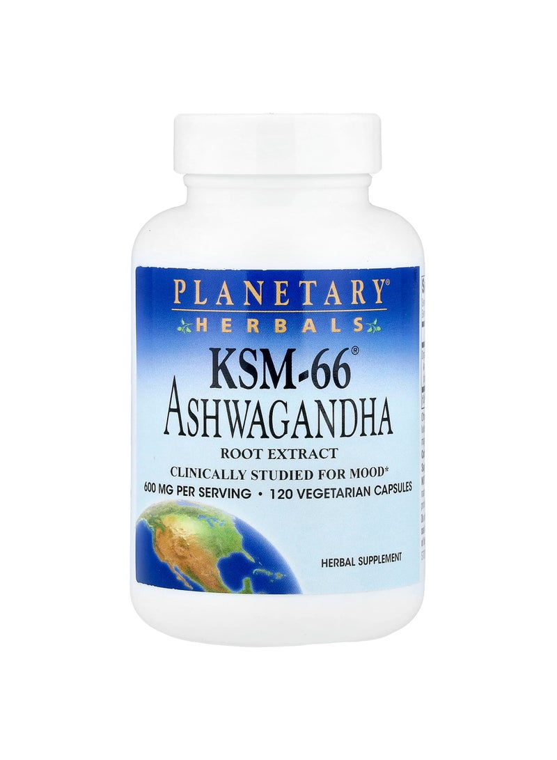PLANETARY HERBALS KSM-66 Ashwagandha Root Extract, 120 Vegetarian Capsules (300 mg per Capsule)