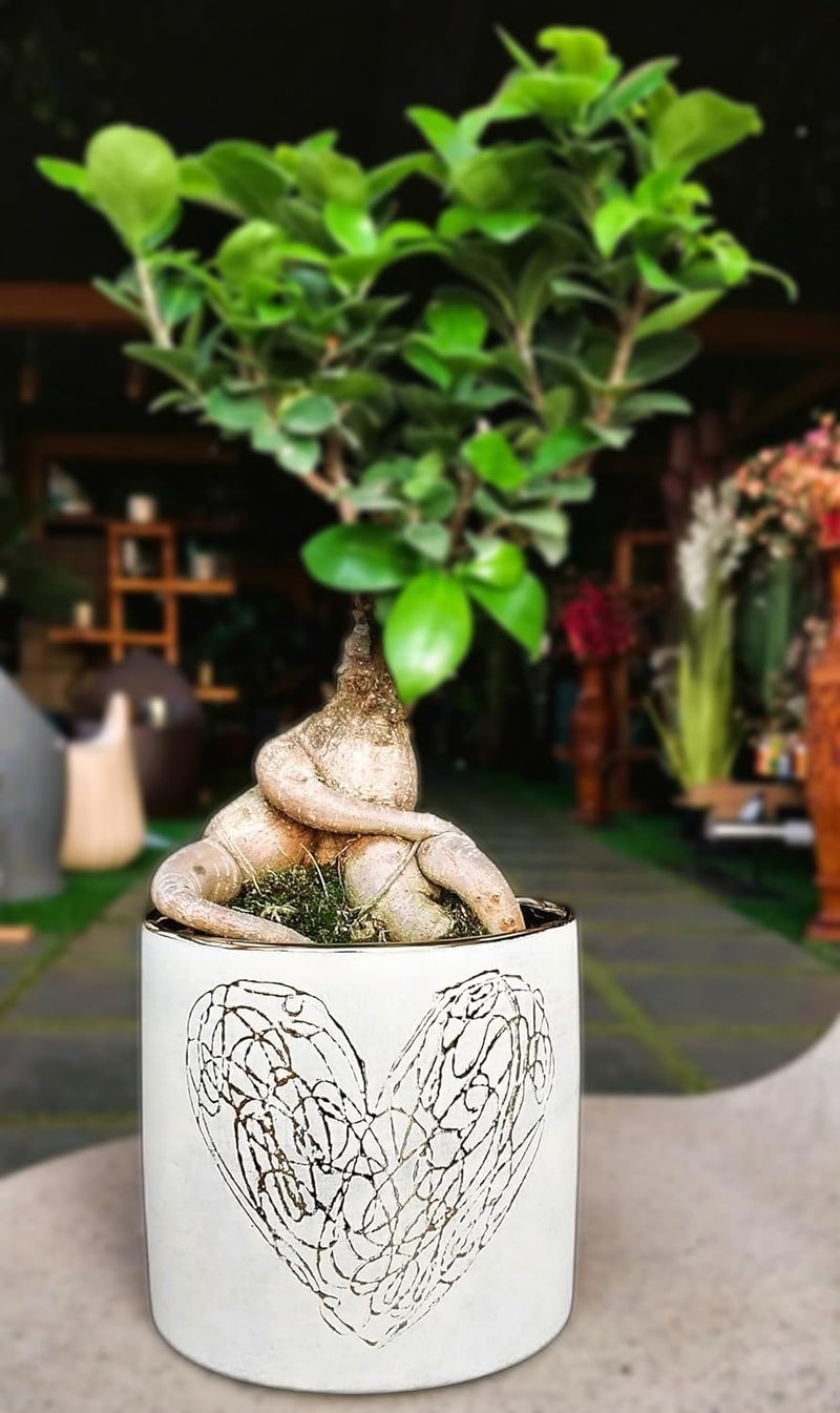 Fox & Fern Premium Ceramic Planter with Drainage-Hole for Vibrant Garden Home, Office or Garden (Dia. 5Inch) GA133B-057-GW - Image 2
