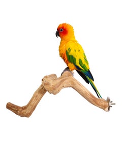 CHEWY BEAK Birds Stand Java wood small Parrot small Birds Cocktiel Love birds Sun Conures Wood Perch Natural Indonesian Wooden Tree branch Cage Accessories stick  - Image 1