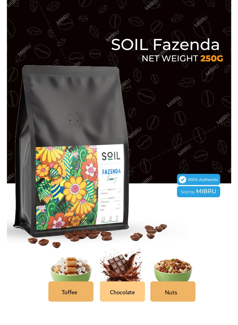 SOIL Coffee bean BRAZIL FAZENDA Dried for Espresso And Filter Corps 250G Unground roasted coffee beans for specialty coffee - Whole Beans - Image 5