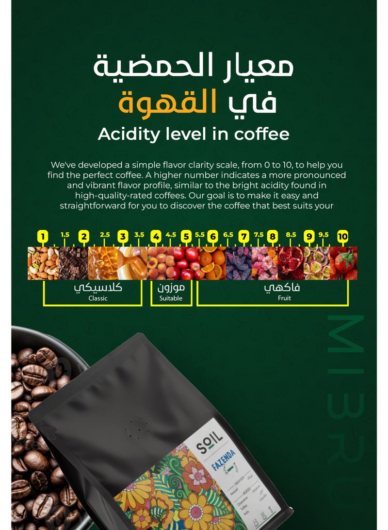 SOIL Coffee bean BRAZIL FAZENDA Dried for Espresso And Filter Corps 250G Unground roasted coffee beans for specialty coffee - Whole Beans - Image 3