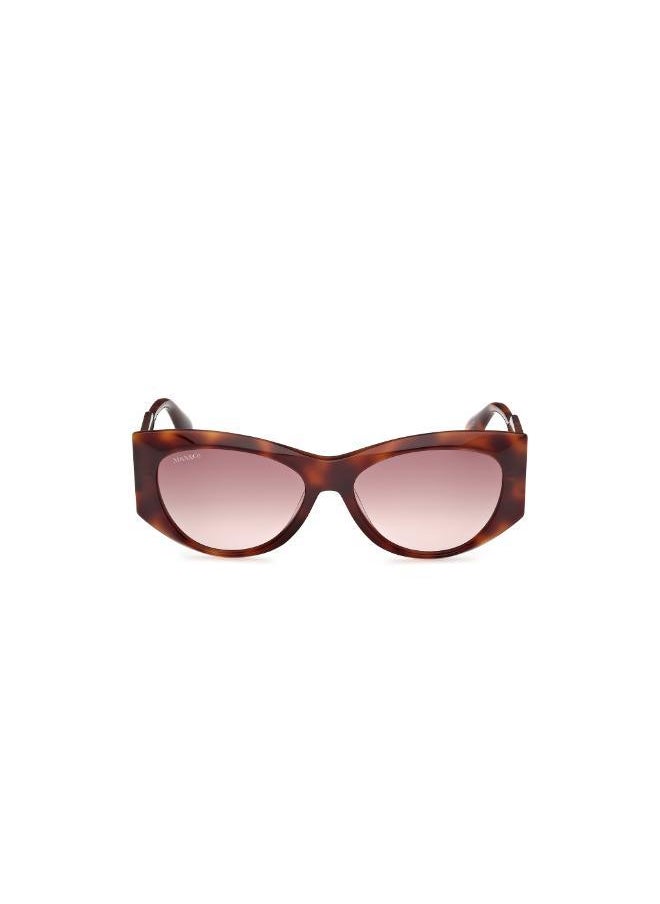 MAXCO - Wayfarers Sunglasses - Image 1