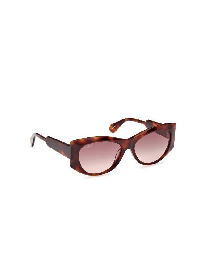 MAXCO - Wayfarers Sunglasses - Image 1