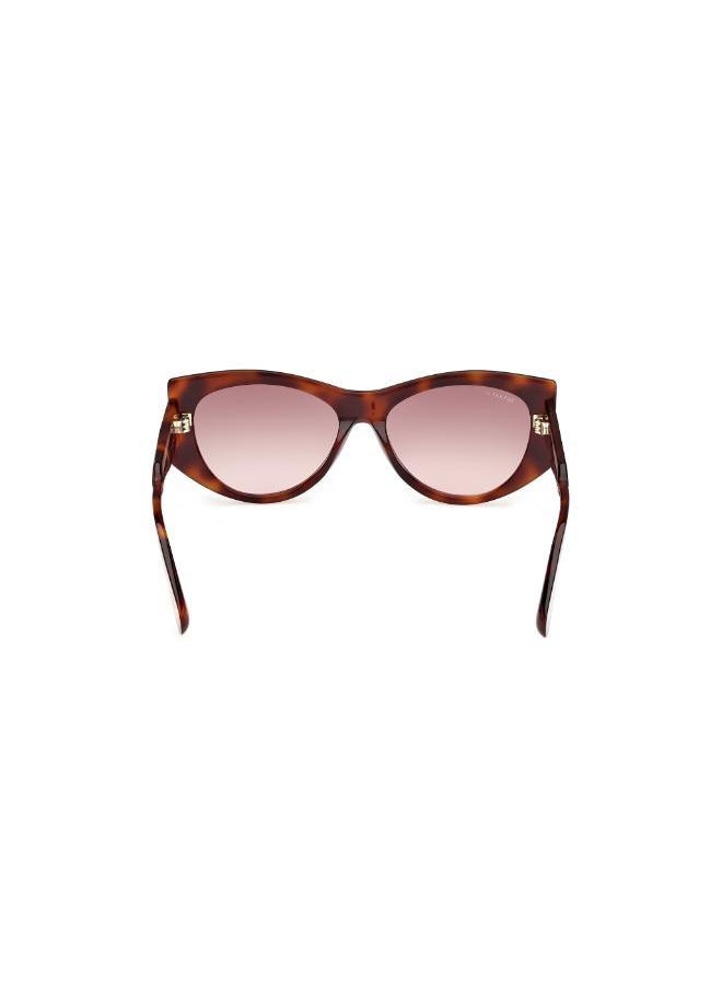 MAXCO - Wayfarers Sunglasses - Image 1