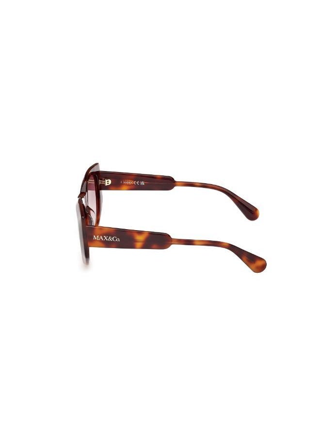 MAXCO - Wayfarers Sunglasses - Image 1