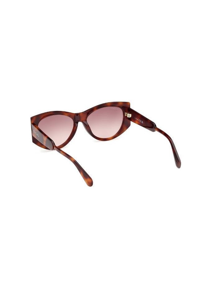 MAXCO - Wayfarers Sunglasses - Image 1