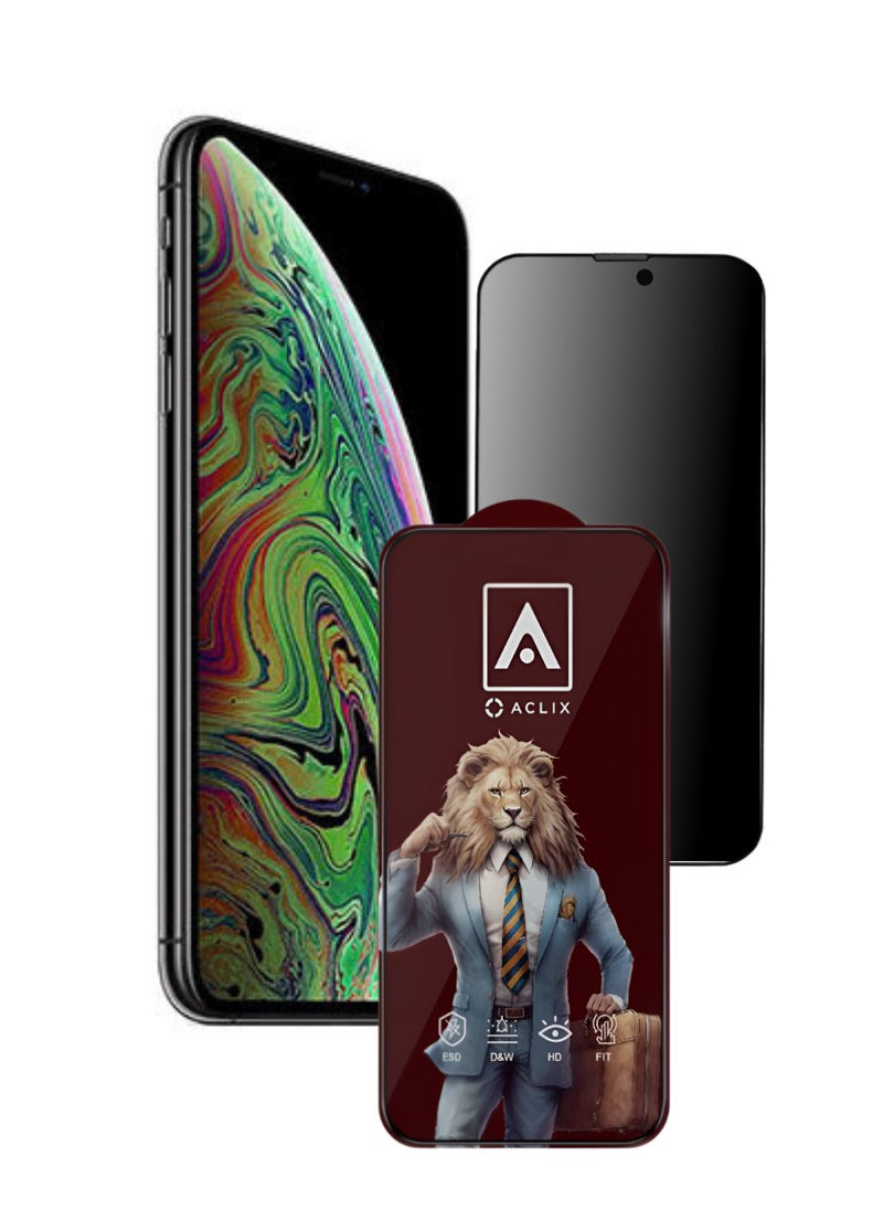 ACLIX Antistatic ESD Dustproof Premium Quality High Definition Anti-Spy Privacy Tempered Glass Screen Protector Designed For  iPhone XS Max - Image 1