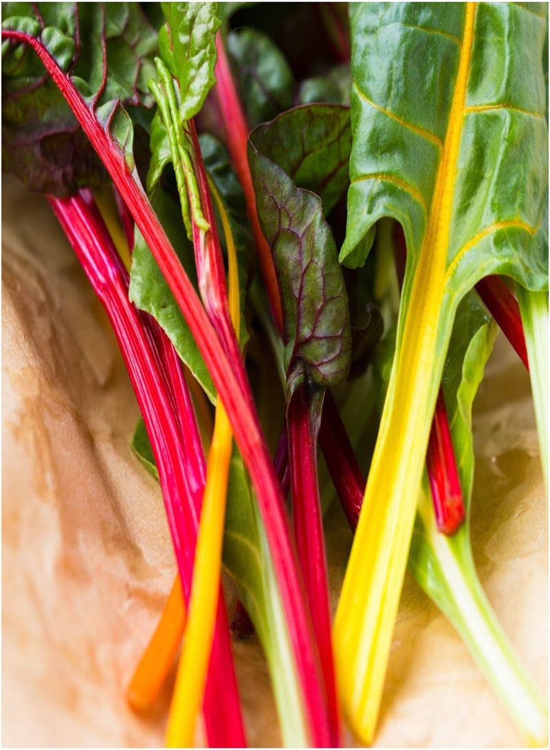 GGOOT Rainbow Swiss Chard - Beta vulgaris subspcicla VARflavescens Vegetable Seeds, Also Known as Leaf Beet Home Garden Planting by Heavy Torch, 150 Seeds