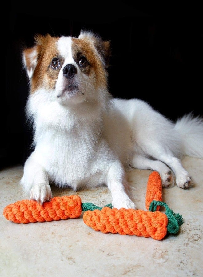 سايج سكوير لعبة مضغ متينة للكلاب من سيج سكوير، على شكل جزرة، مصنوعة من حبل مخملي، لتنظيف أسنان الجراء أثناء التسنين، مع عقدة قطنية لتنظيف الأضراس (قد يختلف اللون). - Image 5