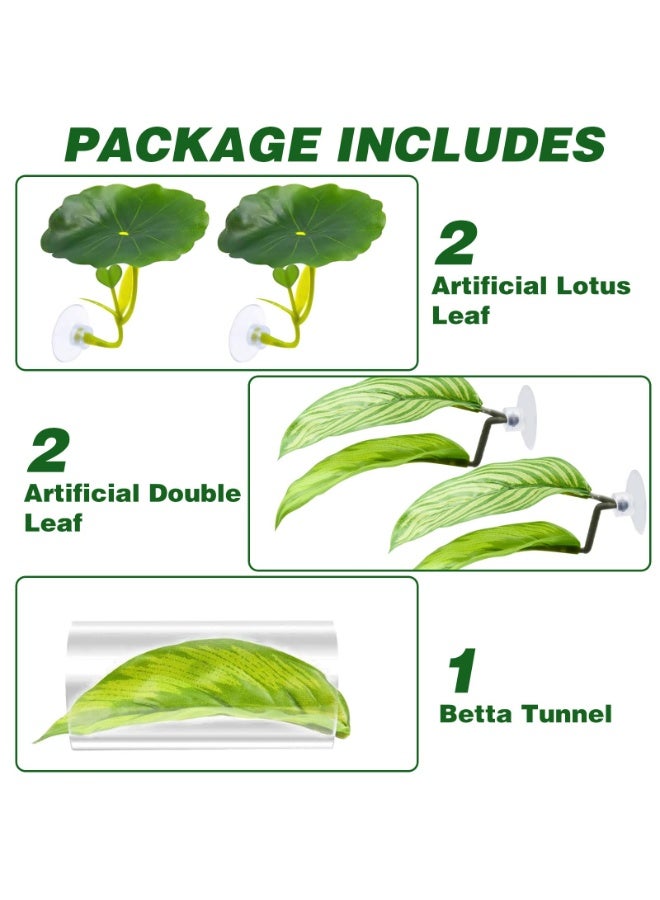 نجم ستايل طقم ألعاب أسماك بيتا أرجوحة شبكية من 5 قطع ديكور حوض السمك مجموعة ألعاب أسماك بيتا أرجوحة شبكية ديكور حوض السمك نباتات بلاستيكية نباتات بلاستيكية أنبوب أكريليك أنبوب تزيين حوض السمك، مخبأ حوض السمك مع أكواب شفط احتياطية للنوم والاستراحة والتربية - Image 3