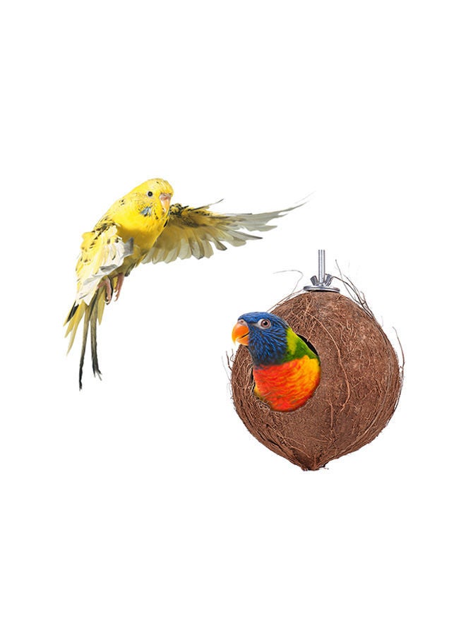 نيبمينينت عش طائر من ثمرة جوز الهند بني 18x15x15سم - Image 3