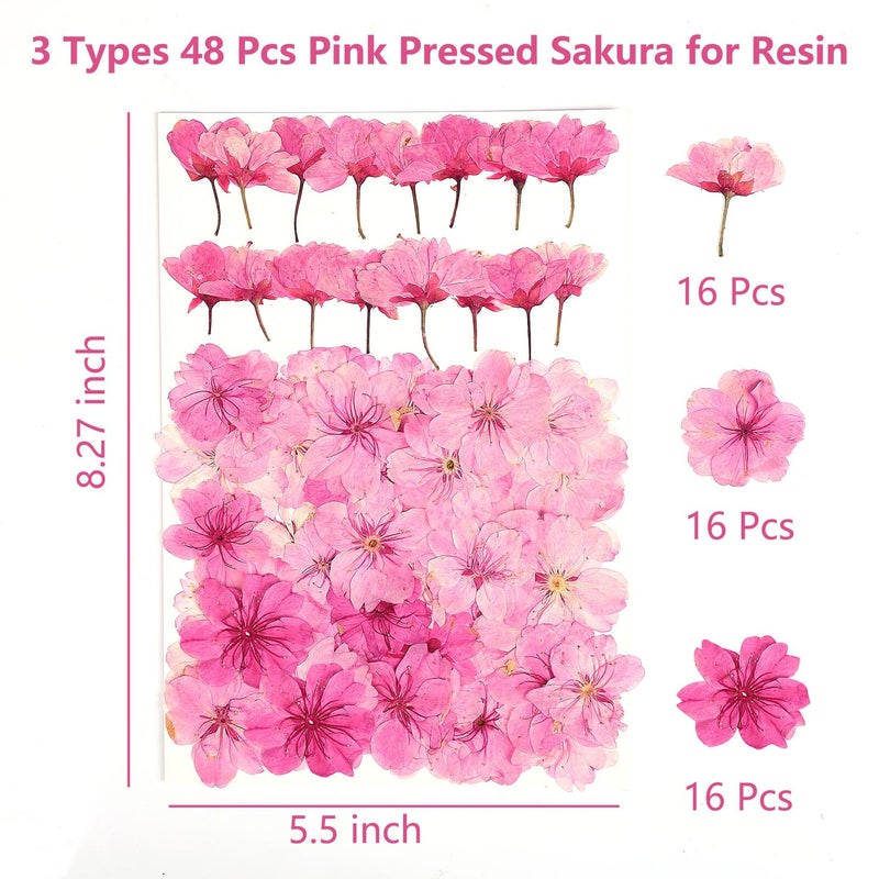 AHTONG 48 Pcs Mix Natural Dried Pressed Cherry Blossoms for Edible Cake Decorating, Cocktail Garnish, Resin Jewelry Making, DIY Art Crafts (Pink Sakura) - Image 2