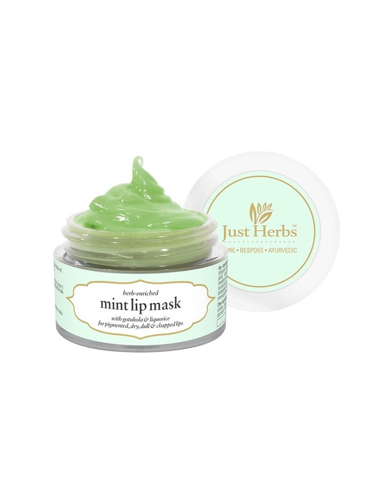 Just Herbs Just Herbs Ayurvedic Lip Mask 15gm  - Image 1