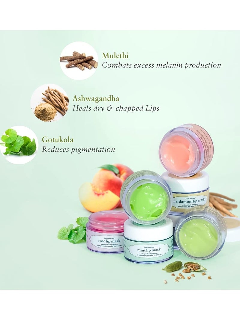 Just Herbs Just Herbs Ayurvedic Lip Mask 15gm  - Image 4