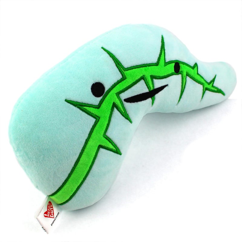 I Heart Guts Pancreas Plush Sweet on You 11 Pancreas Toy for Diabetes Pancreatitis Insulin Health Funny Get Well Gift for Nurse Patients Medical Student STEM Anatomy Plushie - Image 3