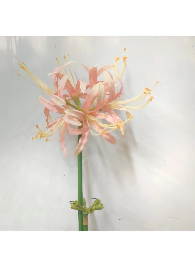 Arabest 1 x 5 pcs Artificial Spider Lily Vintage Wedding Decor Pink (20 support batch) 