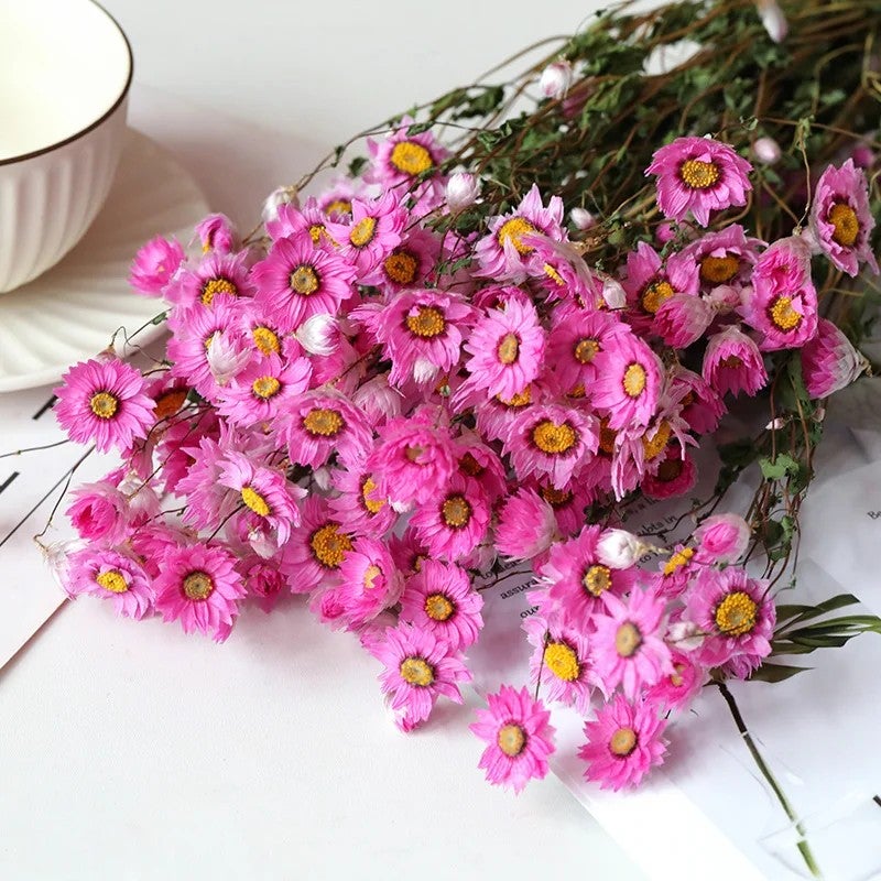 Bluejw Natural Dried Daisy Bouquet - Dried Flowers for Home Wedding Table Arrangements & Decorations - Image 5