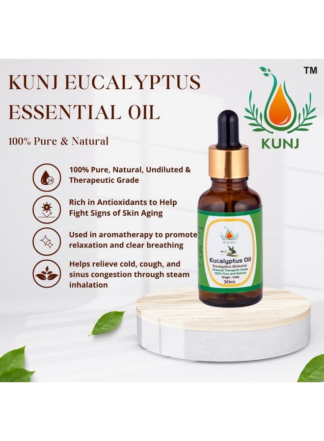 KUNJ Eucalyptus Essential Oil (Eucalyptus globulus) 100% Pure & Natural Undiluted Therapeutic Grade, For Healthy Skin, Hair, and Body - Revitalizing & Nourishing Care for Face - 100ml - Image 2