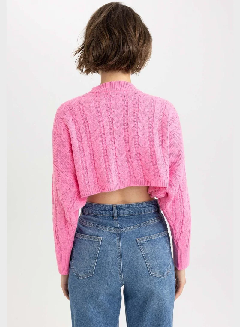 DeFacto Regular Fit Crew Neck Sweater