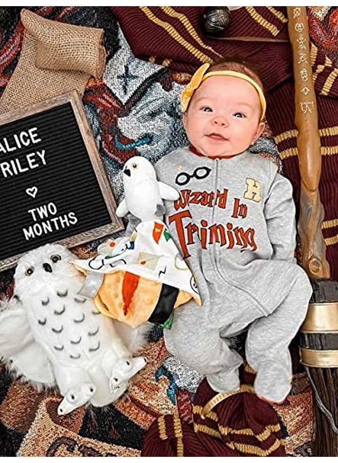 The Learning Lovey Baby Jack & Co 10X10” Wizard Lovey Owl Tag Toy For Babies Witches House Colors Learn Wizardry Soft & Safe Learn Shapes & Colors Ideal Baby Toy & Muggle Gift Bpa Free W Stroller Clip  - Image 5