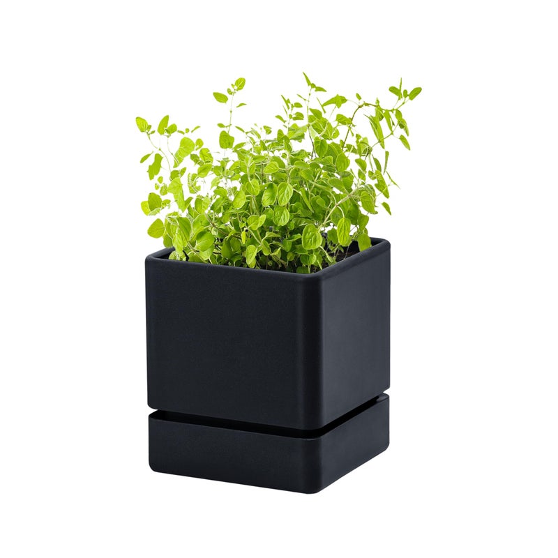 D'vine Dev 4 Inch Herb Planter Pot, Plastic Planter with Drainage Holes and Saucer, Modern Decorative Gardening Pot for Indoor Plants, Flowers, Herbs, Succulents, Black, Set of 1, 76-Y-B1-1 - Image 1