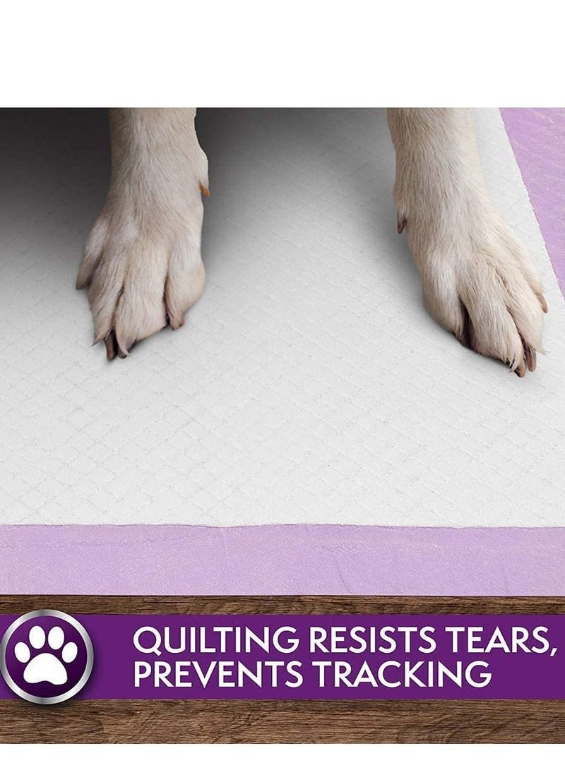 Simple Solution Pack Of 100 All Day Premium Lavender Scent Dog And Puppy Pads 58X60Cm - Image 5