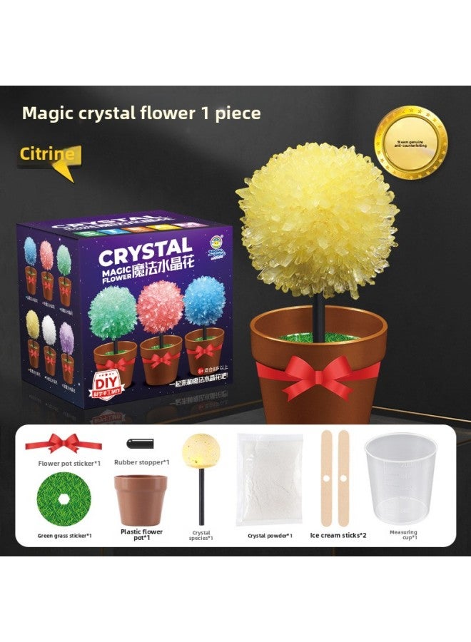Children's Chemistry Experiment Crystal Flower Planting DIY Experiment Suit Parent-child Science Experiment Magic Crystal Tree-Specifications:Crystal Flower (yellow)  - Image 1