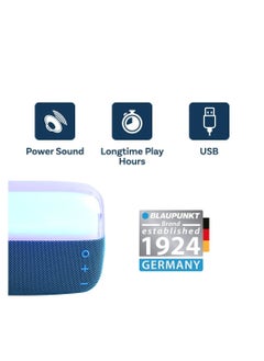 BLP3050 Portable Bluetooth Speaker, Party LED, 5W - pzsku/Z3C2DF051824722123A08Z/45/_/1686660965/a691a0c1-4eb7-47f8-9302-335c065fcaf6