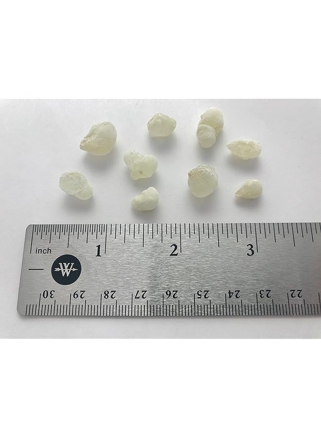 erorex Certified Organic Green Hojari Frankincense Resin From Oman Boswellia Sacra Small Pieces 1 2 Lb Pound - Image 2
