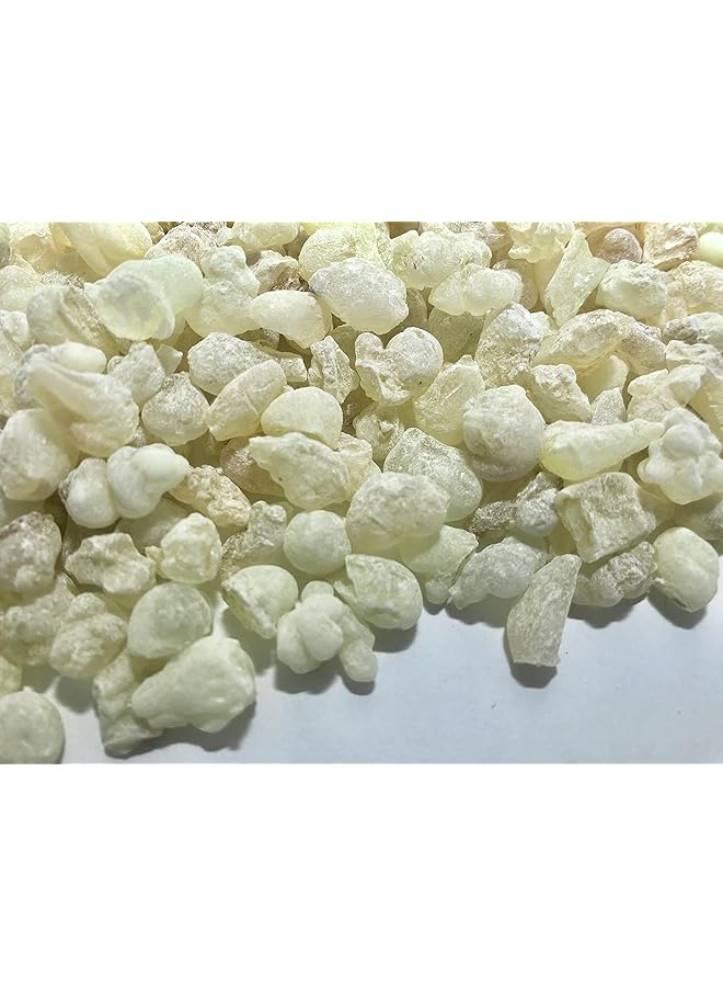 erorex Certified Organic Green Hojari Frankincense Resin From Oman Boswellia Sacra Small Pieces 1 2 Lb Pound - Image 1