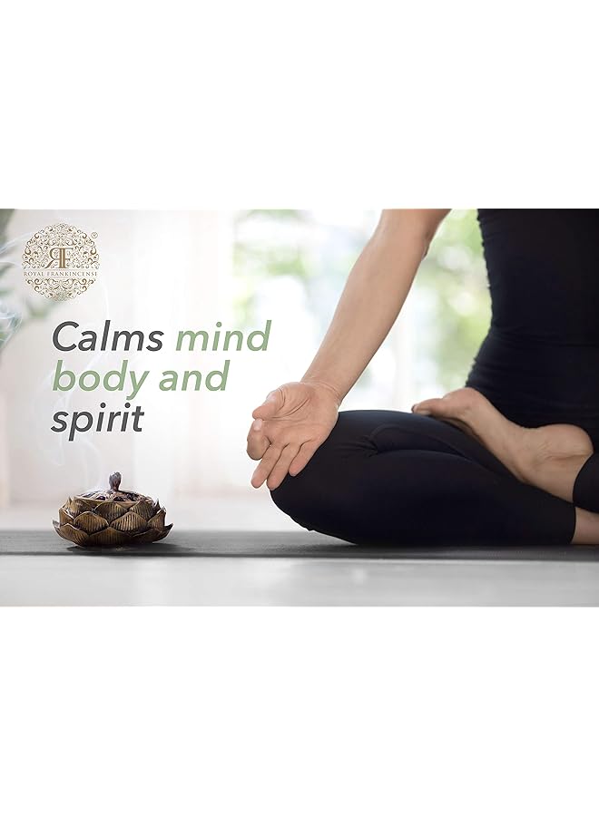 erorex Certified Organic Green Hojari Frankincense Resin From Oman Boswellia Sacra Small Pieces 1 2 Lb Pound - Image 4