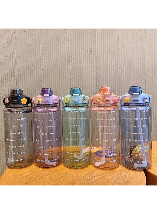 Gasin 2L Large Capacity Water Bottle with Silicone Straw (Multi-color Options) with Time Marker, Free Stickers + Cleaning Tools Set - Image 3