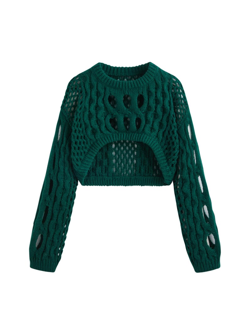 CIDER Cropped Sweaters for Women Knit Round Neckline Hollow Out Long Sleeve Crop Top Sweaters: Green, M - Image 1