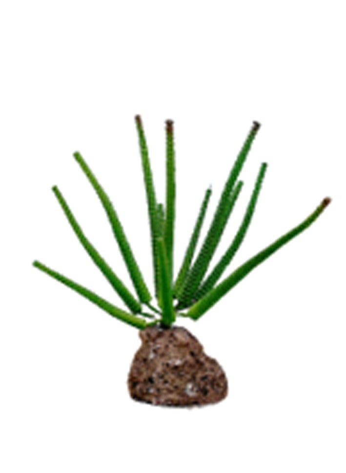 Tankii Aquarium Artificial Plant Flora Stone 10
