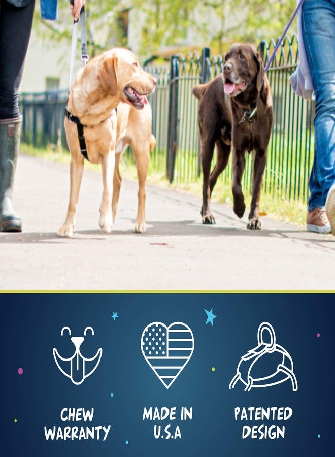 2 Hounds Design Freedom No Pull Dog Harness | Adjustable Gentle Comfortable Control for Easy Dog Walking |for Small Medium and Large Dogs | EarthStyle Designs | Made in USA - Image 2