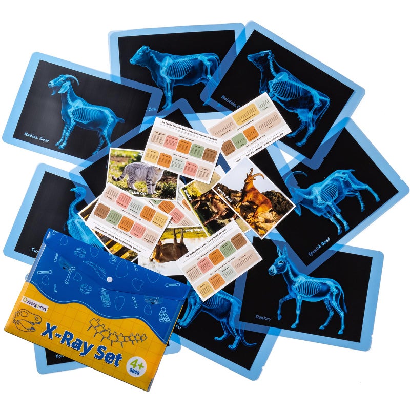 Odoorgames Farm Animal Xrays 10 Pcs Animal Science Kit for Kids Light Table Accessories for Vet Role Play Preschool Learning - Image 3