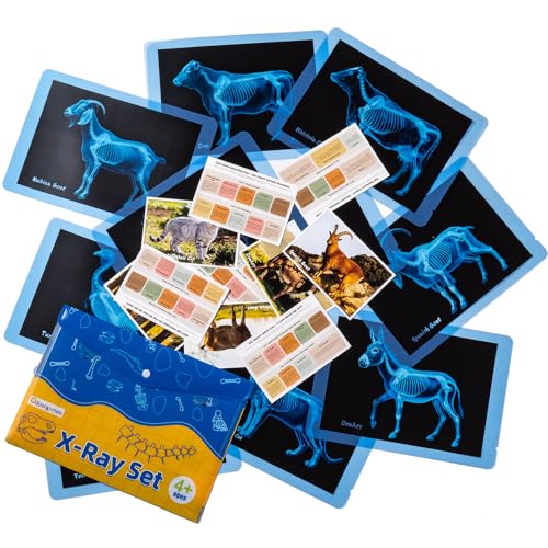 Odoorgames Farm Animal Xrays 10 Pcs Animal Science Kit for Kids Light Table Accessories for Vet Role Play Preschool Learning - Image 1