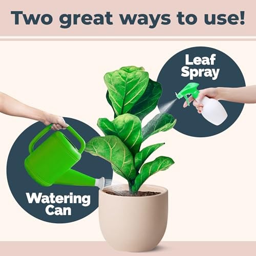 TPS NUTRIENTS Fiddle Leaf Fig Plant Food for All Fig and Other Ficus Trees, Liquid Houseplant Fertilizer 8 oz (250mL) - Image 4