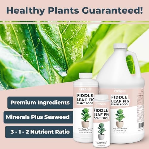 TPS NUTRIENTS Fiddle Leaf Fig Plant Food for All Fig and Other Ficus Trees, Liquid Houseplant Fertilizer 8 oz (250mL) - Image 2