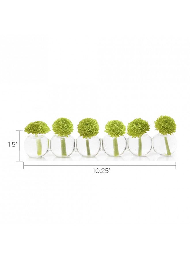 Chive CHIVE Caterpillar Bubble Bud Vase for Centerpieces 6 Hole Multi Chamber Clear Glass Flower Vase for Short Flowers Small, 10.25 Long - Image 2