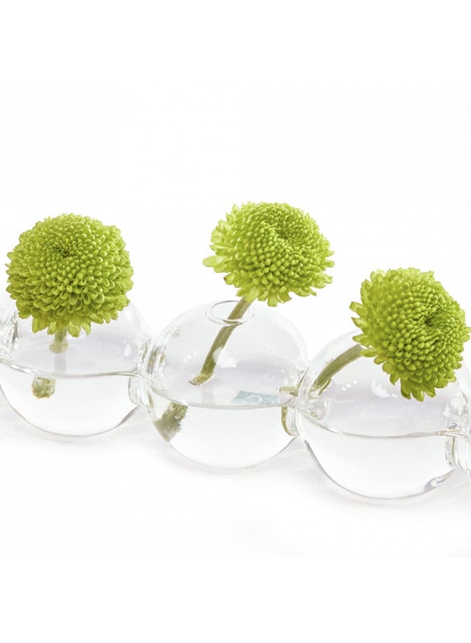 Chive CHIVE Caterpillar Bubble Bud Vase for Centerpieces 6 Hole Multi Chamber Clear Glass Flower Vase for Short Flowers Small, 10.25 Long - Image 1