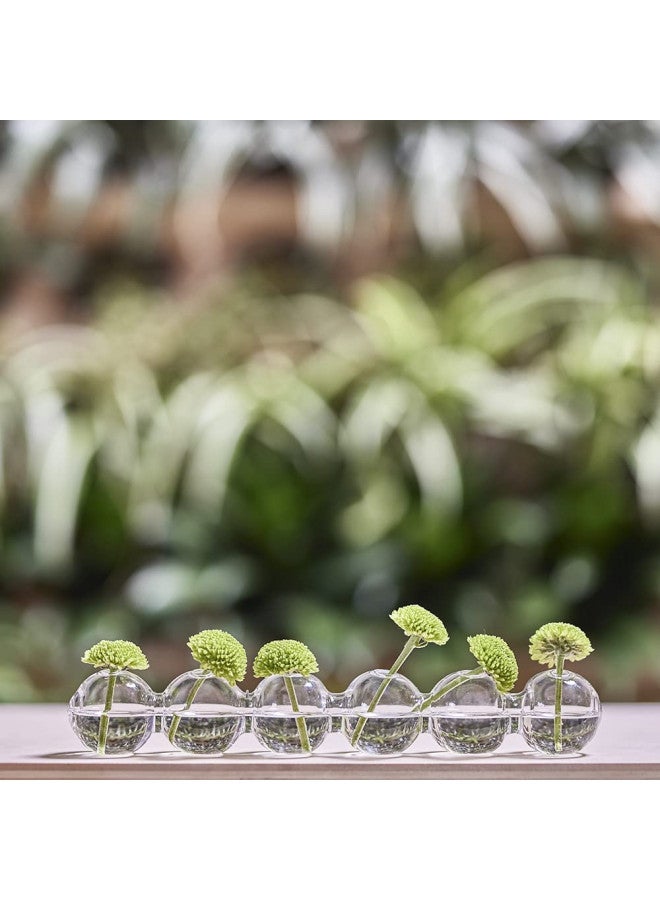 Chive CHIVE Caterpillar Bubble Bud Vase for Centerpieces 6 Hole Multi Chamber Clear Glass Flower Vase for Short Flowers Small, 10.25 Long - Image 3