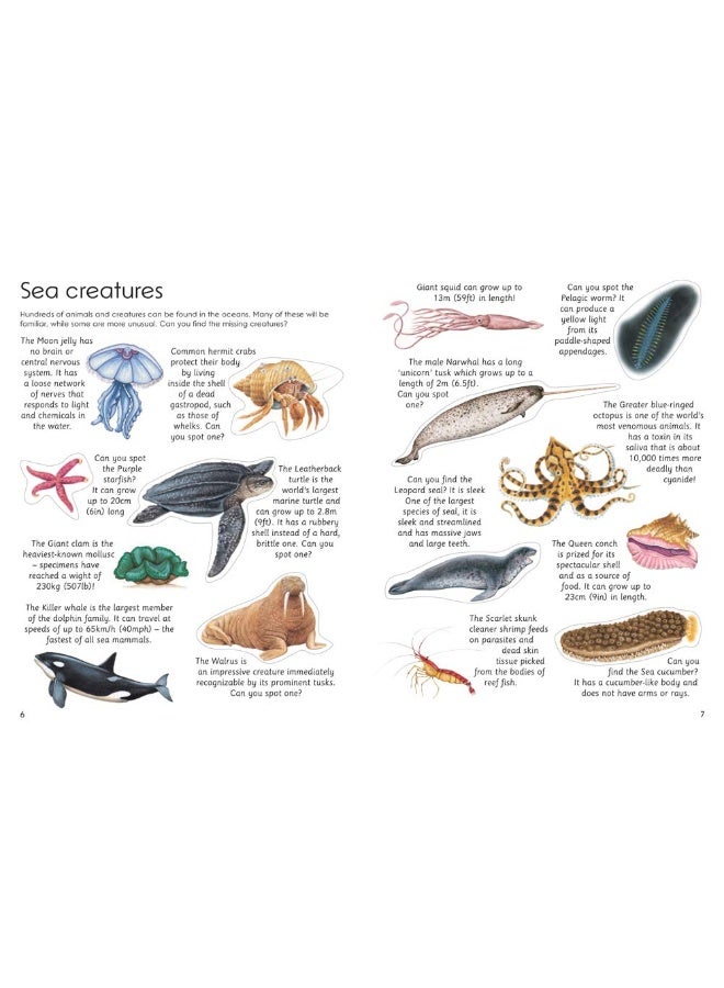 Ultimate Fish & Sea Life Sticker Book: with 100 amazing stickers - Image 3